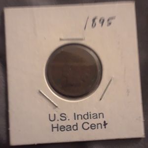 1895 us Indian head cent (ultra rare)